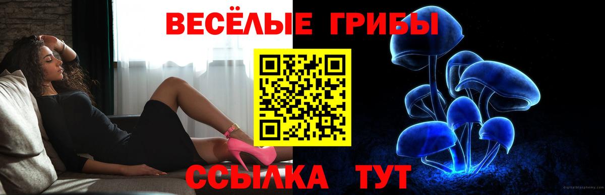 Галлюциногенные грибы мицелий  Псилоцибиновые грибы Psilocybine cubensis  Вход с VPN  Нижний Тагил 